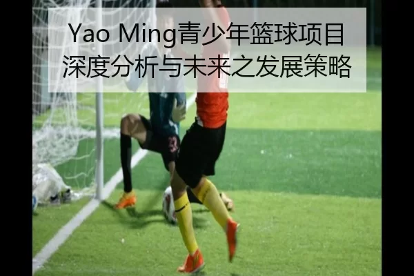 Yao Ming青少年篮球项目深度分析与未来之发展策略