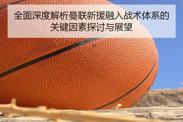 全面深度解析曼联新援融入战术体系的关键因素探讨与展望