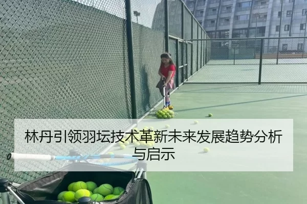 林丹引领羽坛技术革新未来发展趋势分析与启示